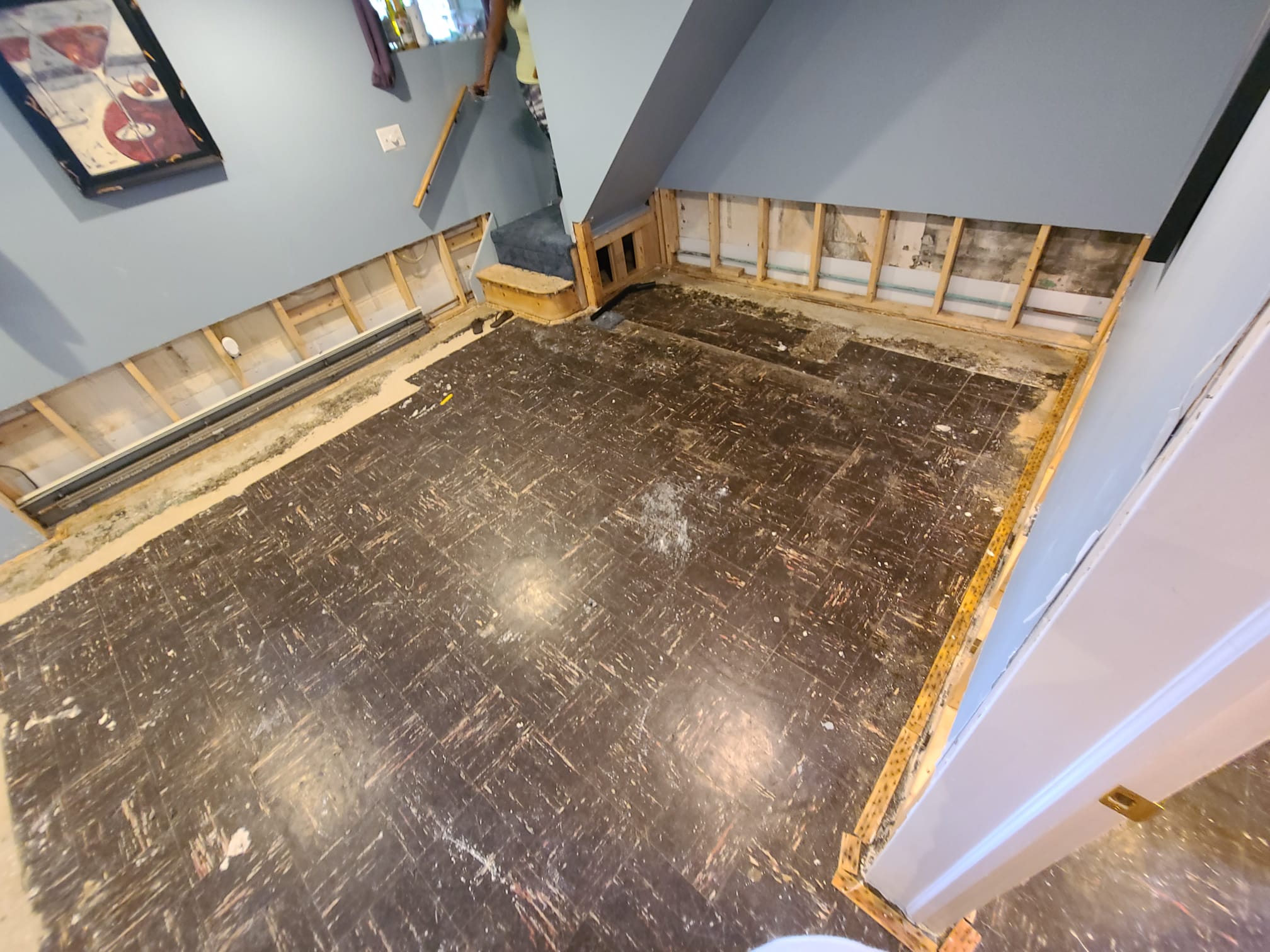 Proyecto de remodelación 246